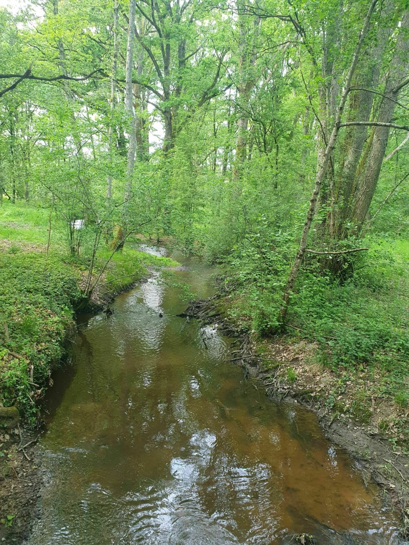 Balade au calme à Selles-Saint-Denis - Selles-Saint-Denis