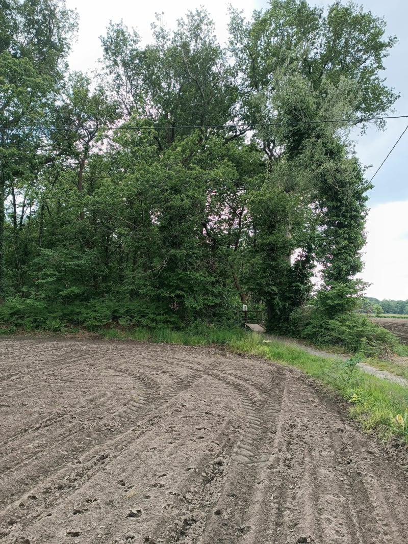 Balade VTC du bois de Pau jusqu'à Serres-Castet - Montardon