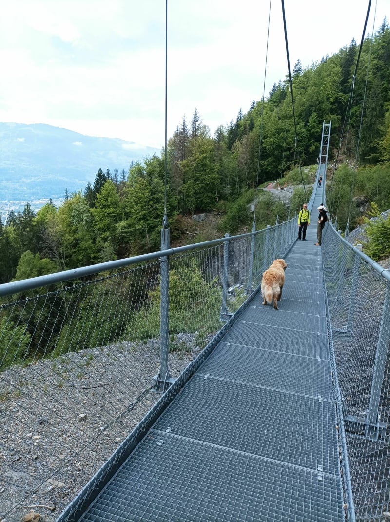 La passerelle du Nans Bourdon - Passy