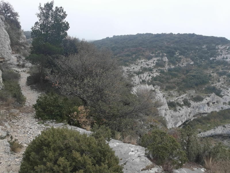 Mini trail au départ des Taillades - Taillades