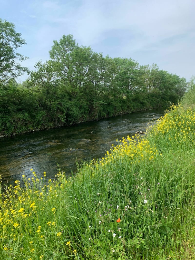 De L'Ouche au canal au départ de Neuilly - Neuilly-Crimolois