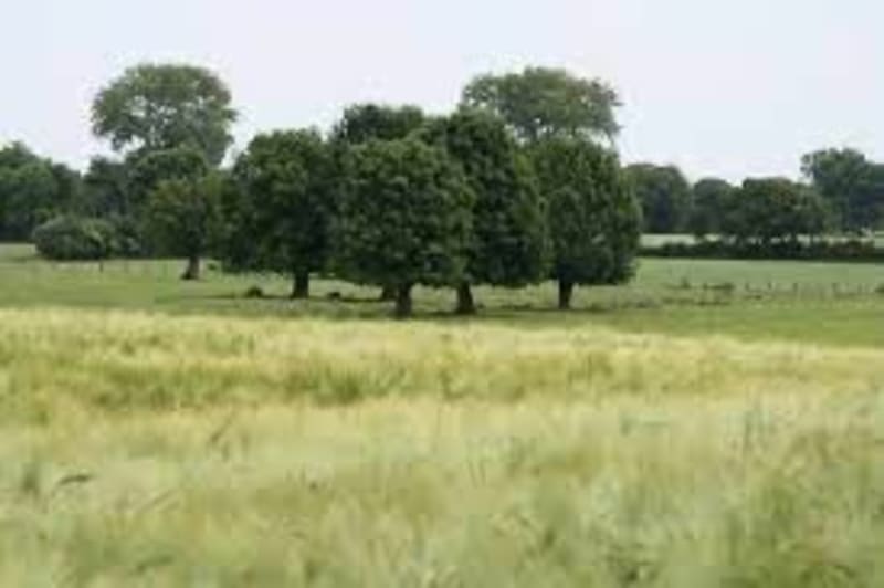 Randonnée d'Ernes à Favières - Ernes