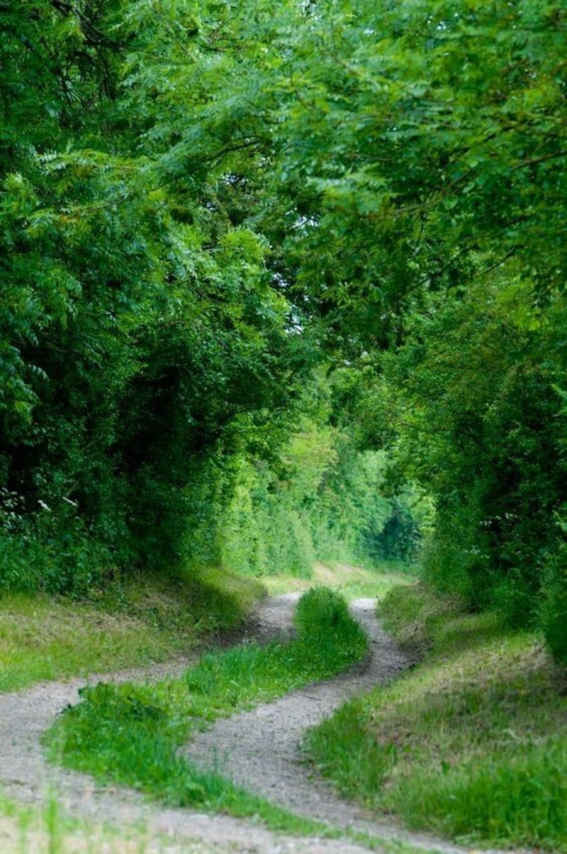 Magny la campagne par Les Marquiers - Mézidon Vallée d'Auge