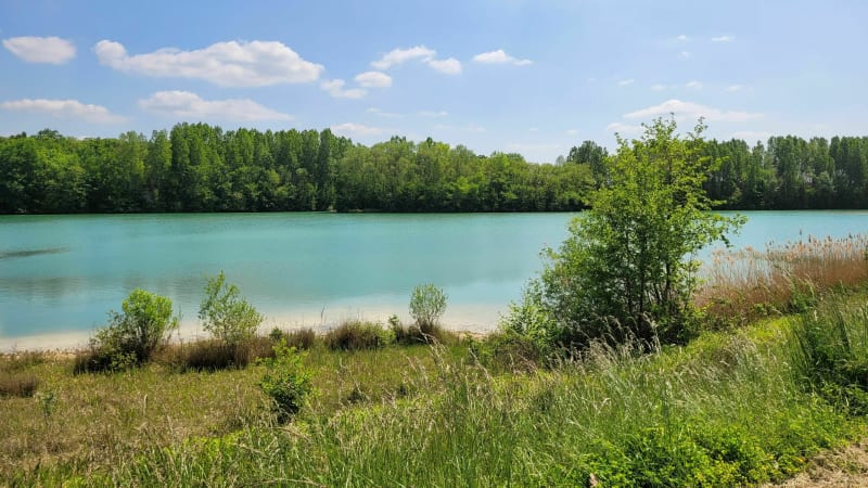 Entre bord de l'Oise et champs puis forêt impériale de Compiègne - Compiègne