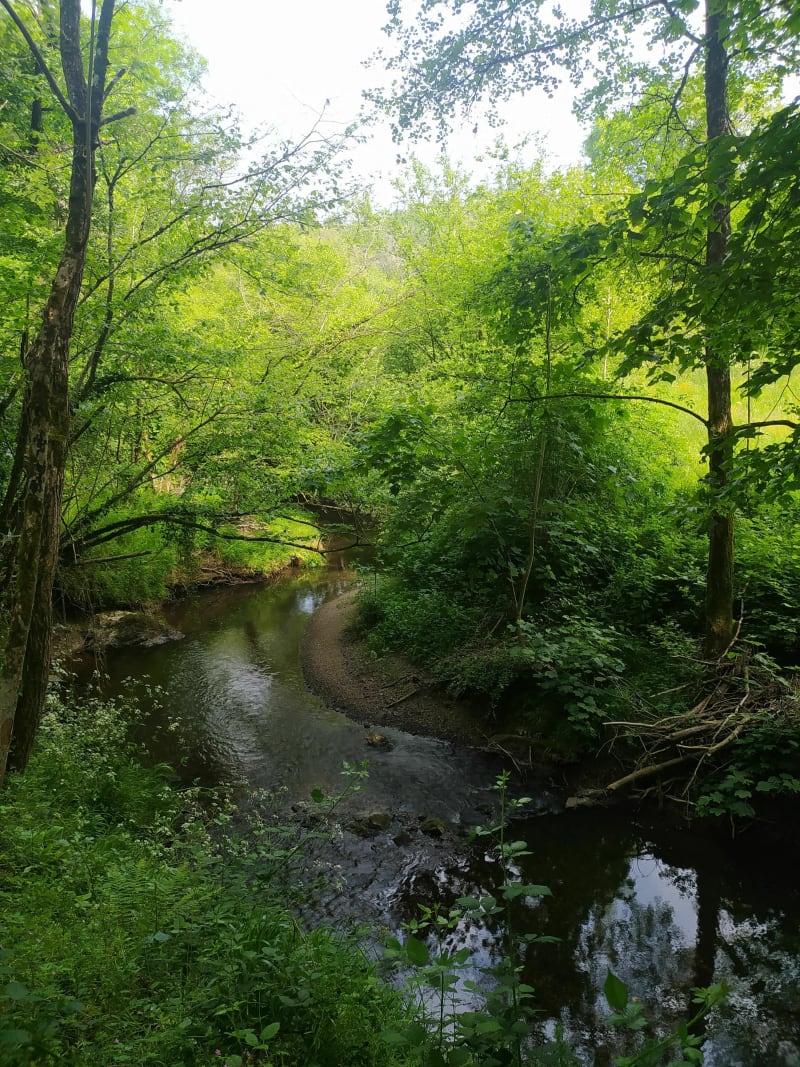 Le moulin Barbet - La Remaudière