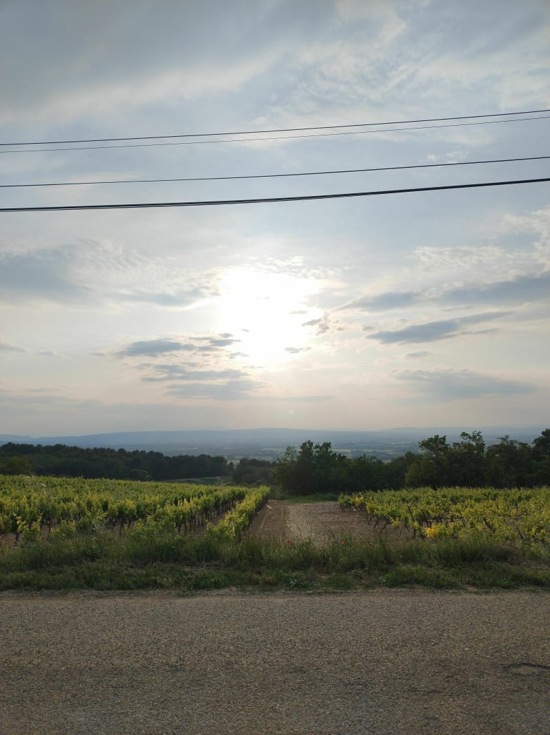 Les Pins, Route de Vinsobres par le Grand Armasse à Vélo - Valréas