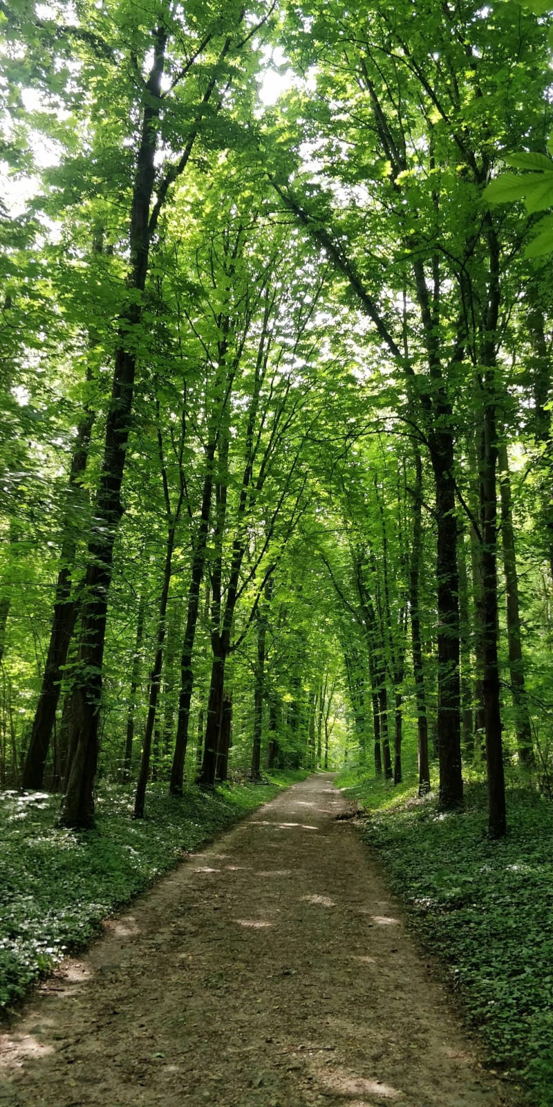 VTT Rueil - Maisons Laffitte - forêt saint Germain - Rueil - Rueil-Malmaison