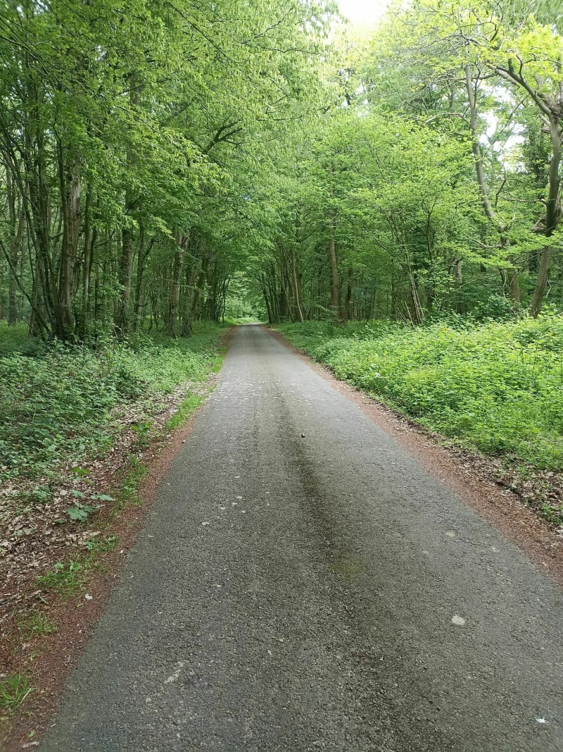 Entre bois et champs par Bretel - Mons-Boubert