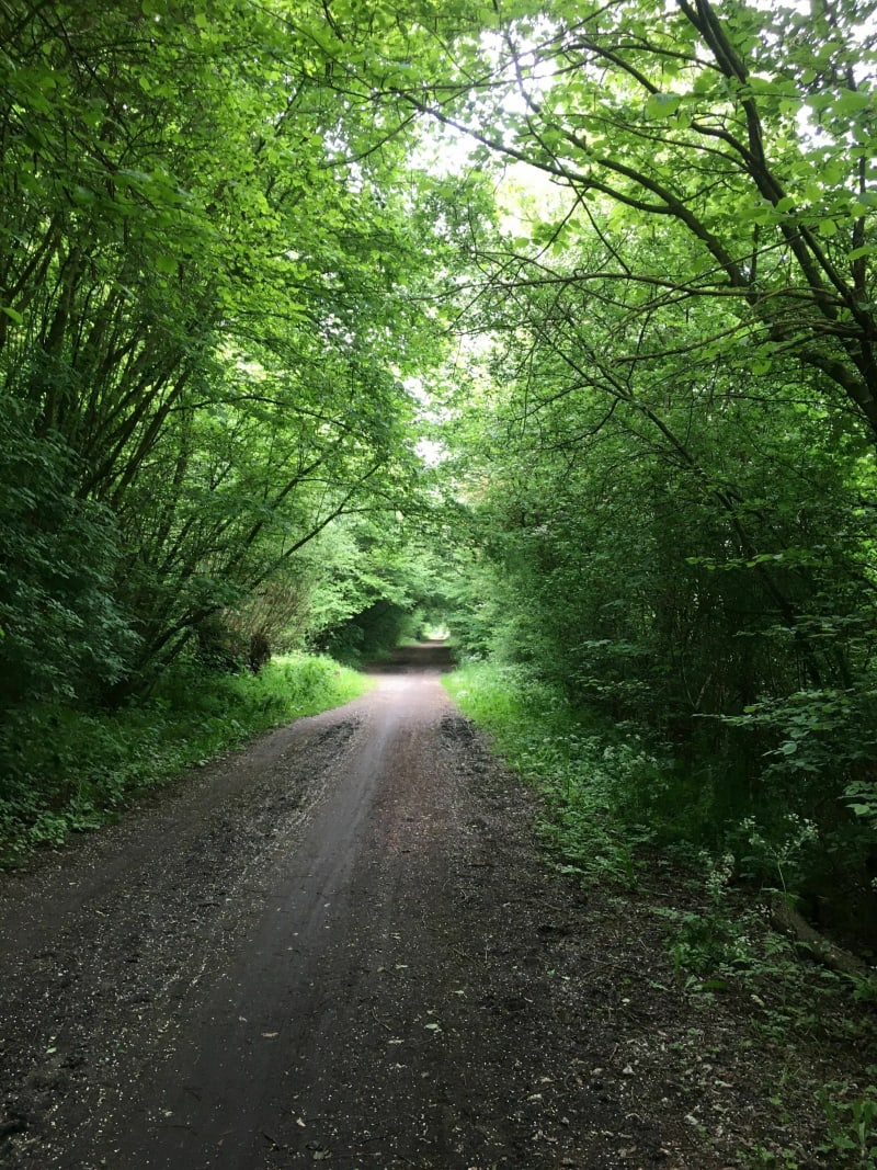 La voie verte de la Scarpe à vélo entre Fenain et Orchies - Fenain