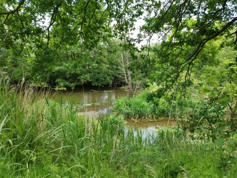 Belle promenade autour de Pont-Péan - Pont-Péan