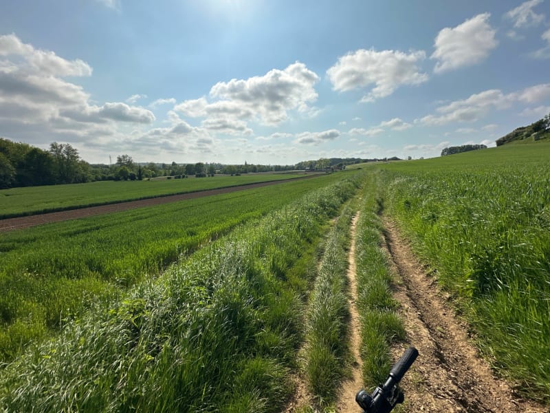 Découverte de Rinxent et son bois par les chemins et routes - Rinxent