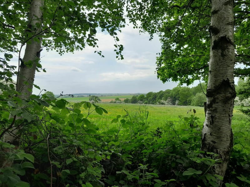 Balade dans les bois de la Loterie, autour de Villers-au-Bois - Villers-au-Bois