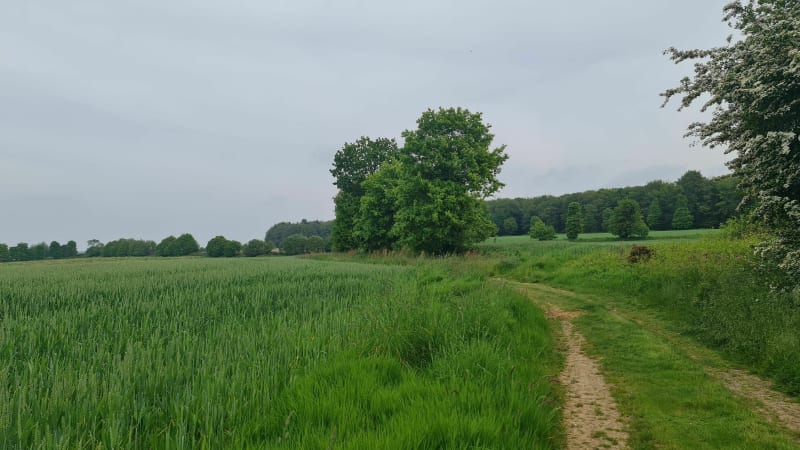 La campagne vallonnée de Rouillac par le Nord - Rouillac