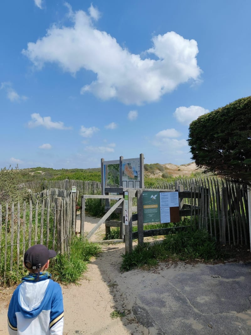 Circuit des Fauvettes Dunes de Merlimont - Merlimont