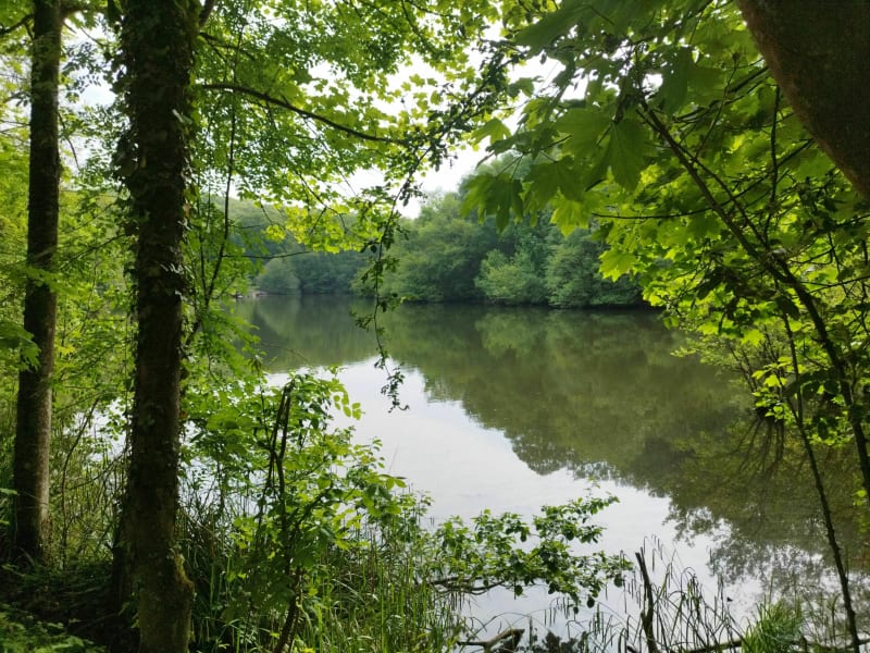 Escapade VTT sportive dans les bois de Clamart et de Meudon - Clamart