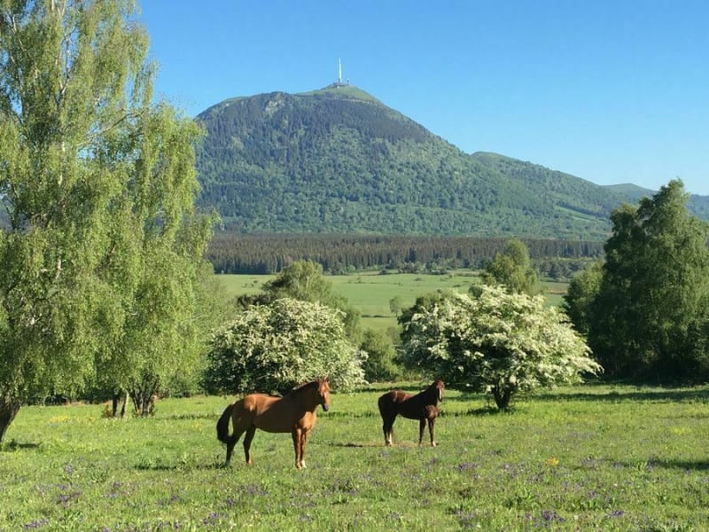 Au pied des puys à Laschamps - Saint-Genès-Champanelle