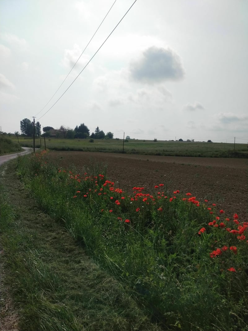 Petite balade en vélo le long de la Seillonne à vélo - Lanta