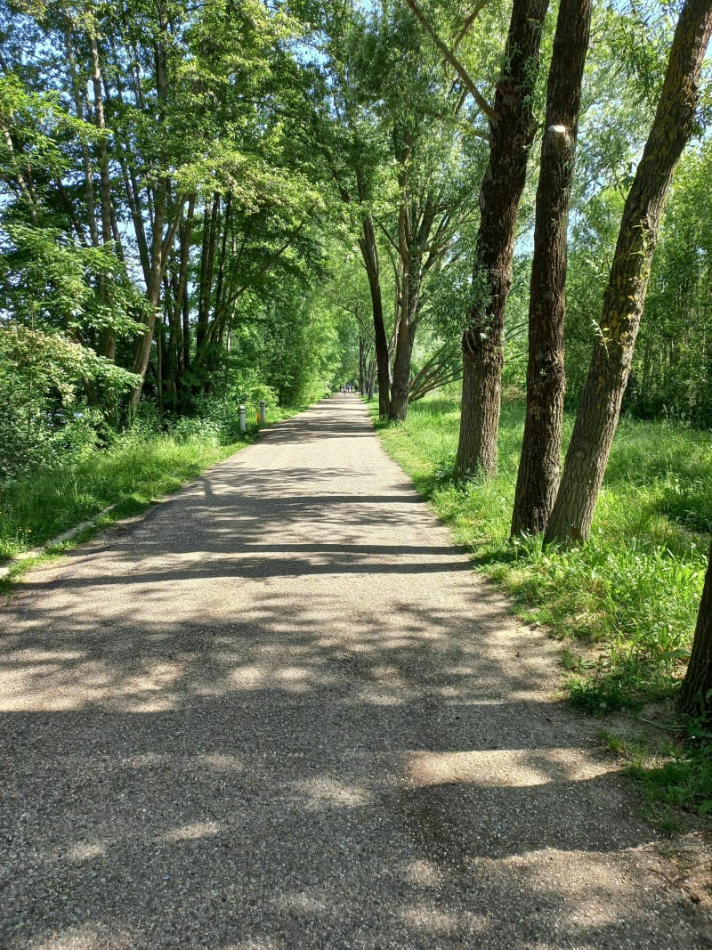 Balade à vélo entre Pont de Chatou et Bezons - Rueil-Malmaison