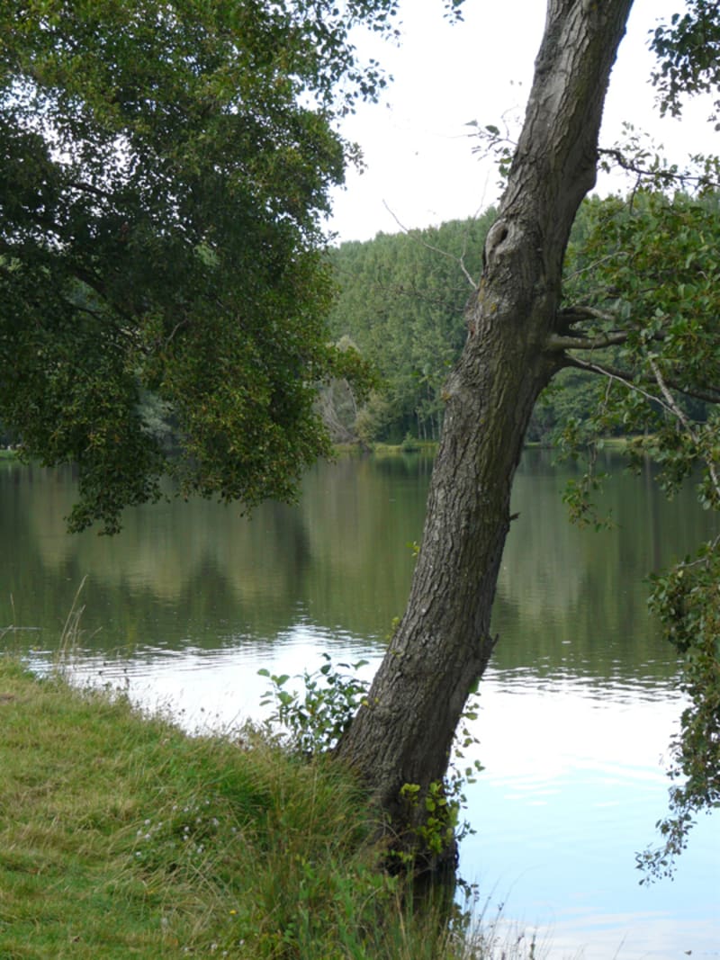 Sentier du plan d'eau de Barjouville - Barjouville