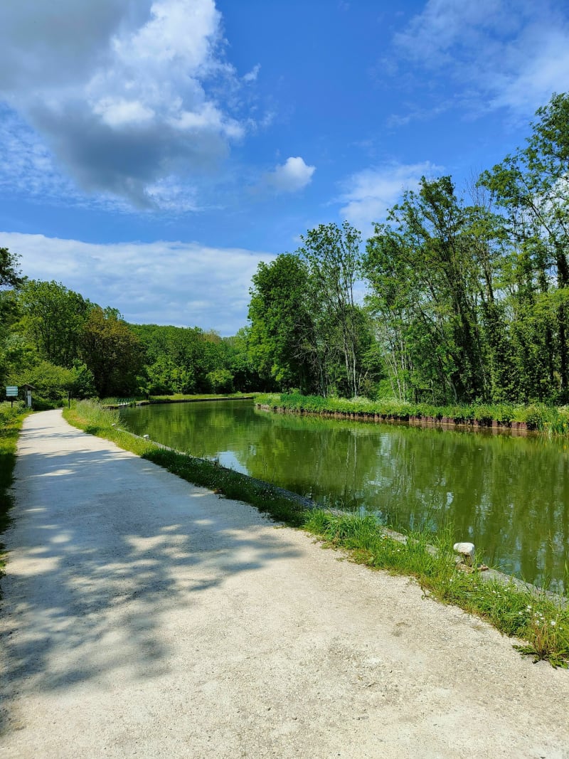 Nargis-Bagneaux le long du canal de Loing - Nargis