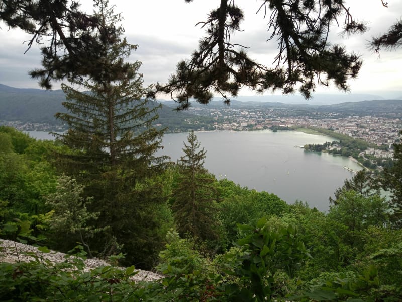 Balade en forêt et vue sur le lac d'Annecy - Annecy