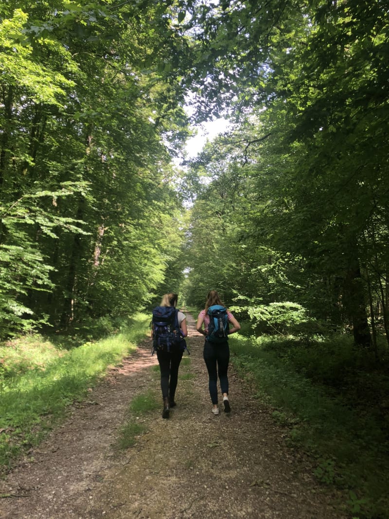 La vallée de la Roguenette - Gasville-Oisème