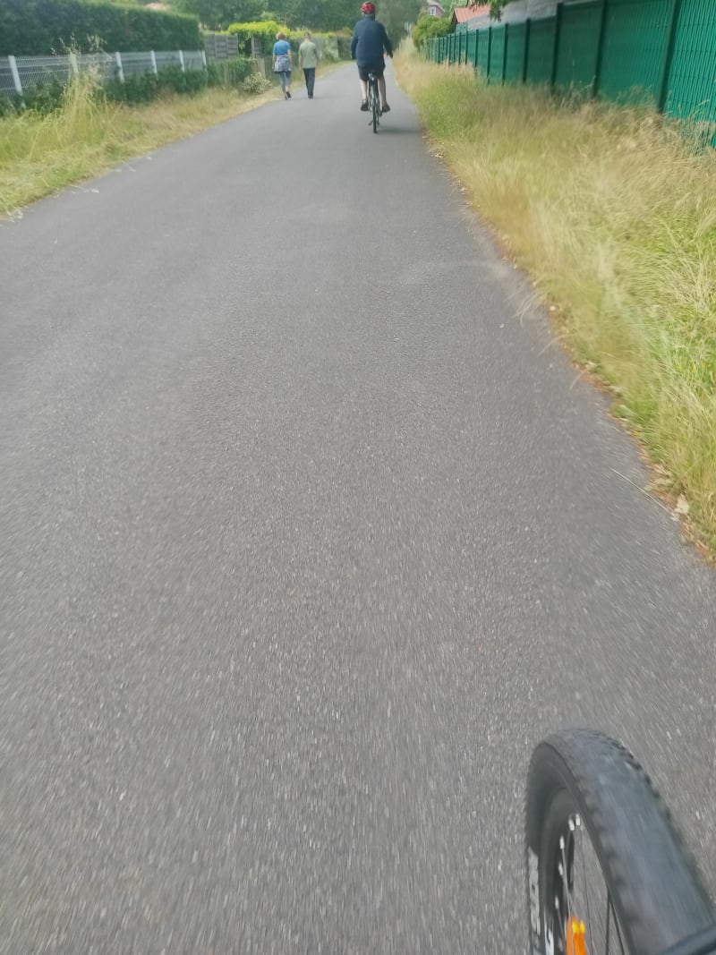 Au bord, Lac de Cazaux-Sanguinet sur la piste cyclable - Sanguinet