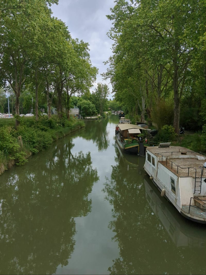 Balade sur le Canal du Midi à Ramonville-Saint-Agne - Ramonville-Saint-Agne