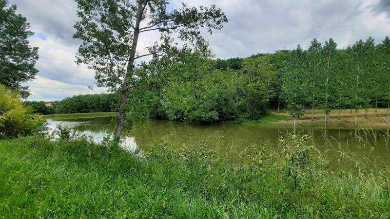 Boucle du bois des Mothes - Lizac