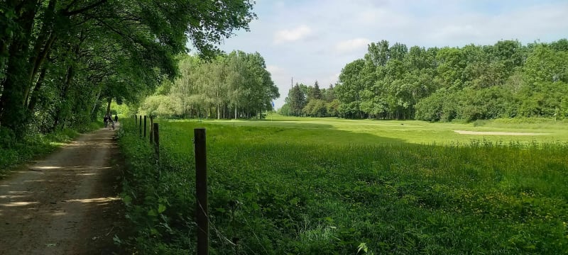 Entre lac et forêt de SQY - Bois d'Arcy - Bois-d'Arcy