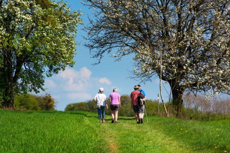 Balade à Bissieres - Méry-Bissières-en-Auge