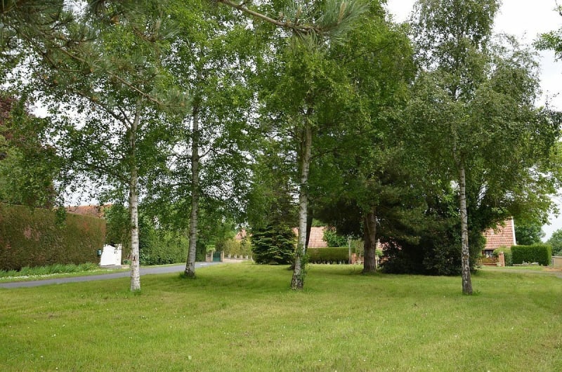 Janville par le Grand Plain - Janville