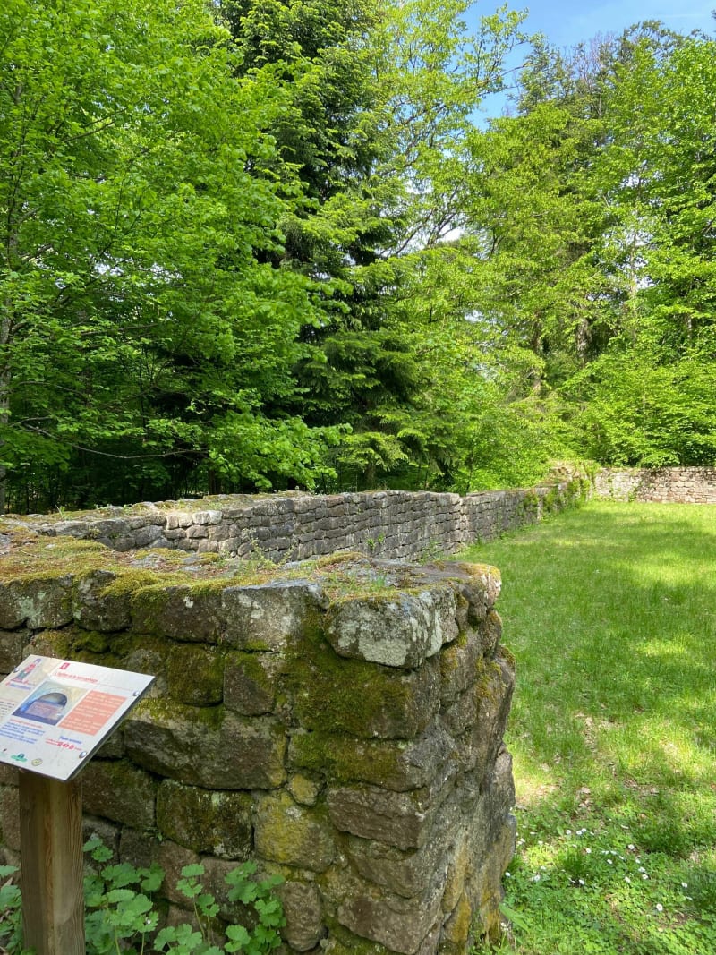 Prairie et ruines du Schwartzenthann - Soultzmatt