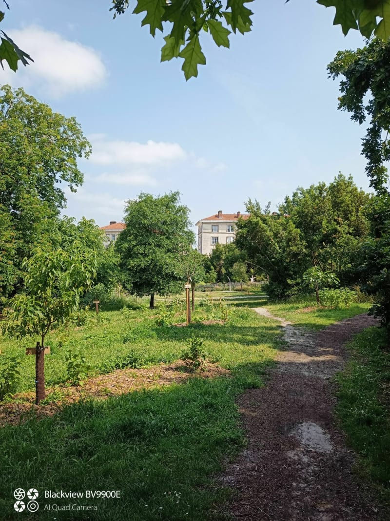 En partant par la Béchade - Bordeaux