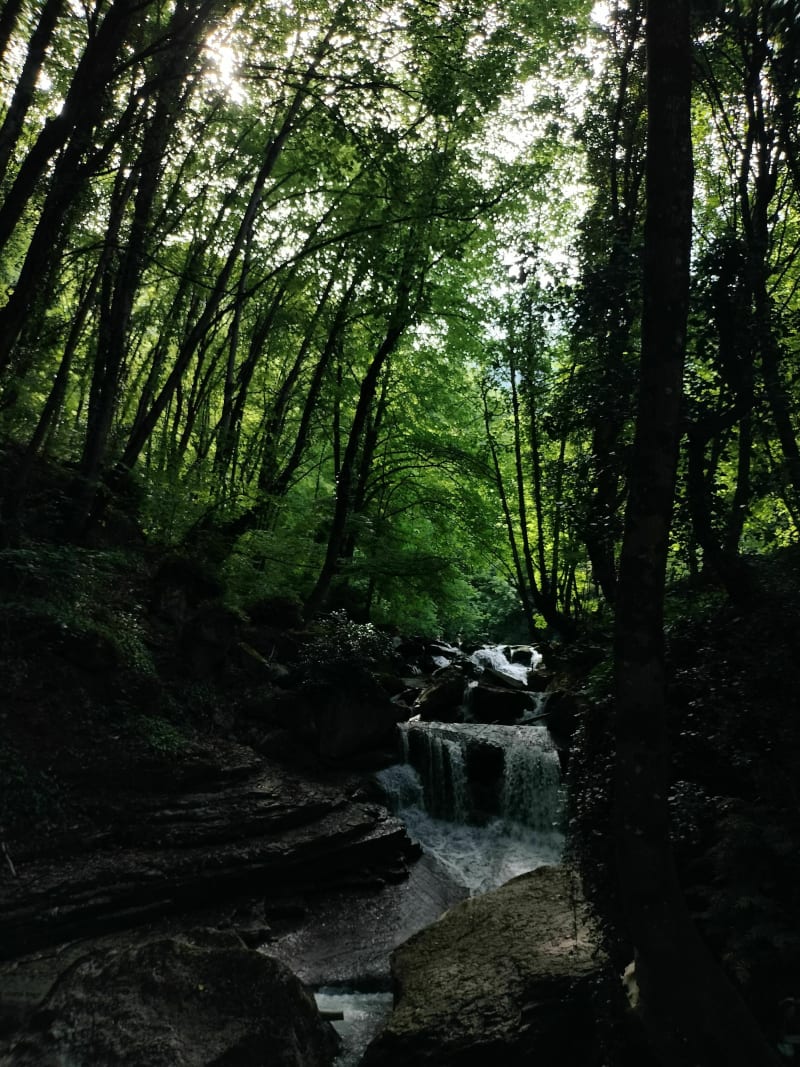 Sassenage vaten watervallen - Sassenage