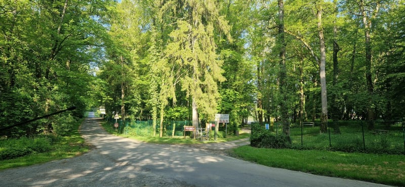 Balade en forêt du Nouvion par la Croix des Veneurs - Le Nouvion-en-Thiérache