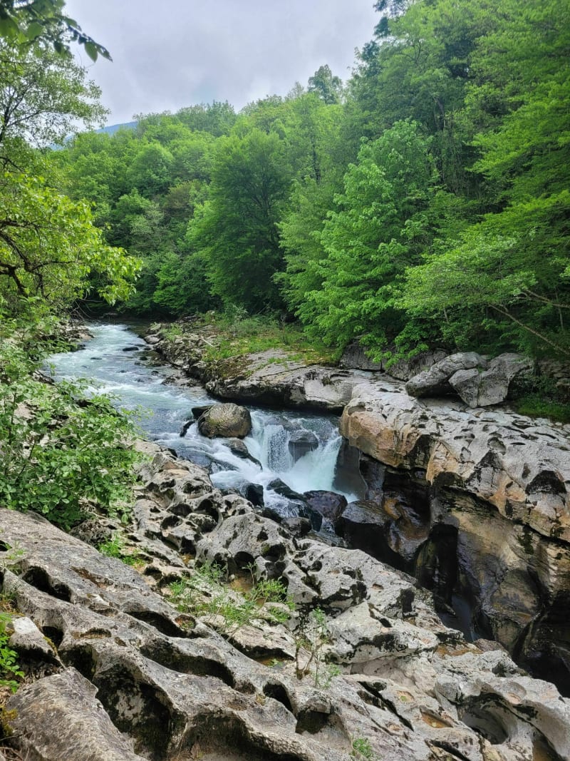 Petite balade aux pertes de la Valserine - Valserhône