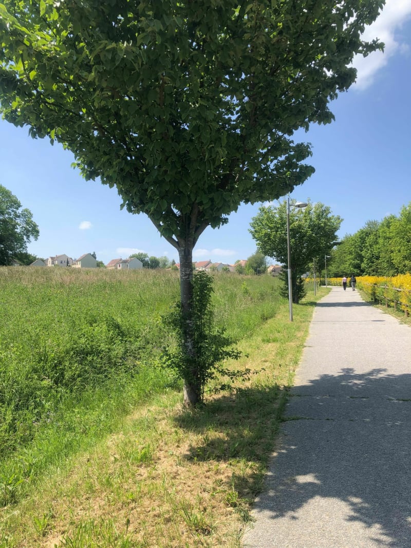Petit tour entre Menucourt et Courdimanche - Menucourt