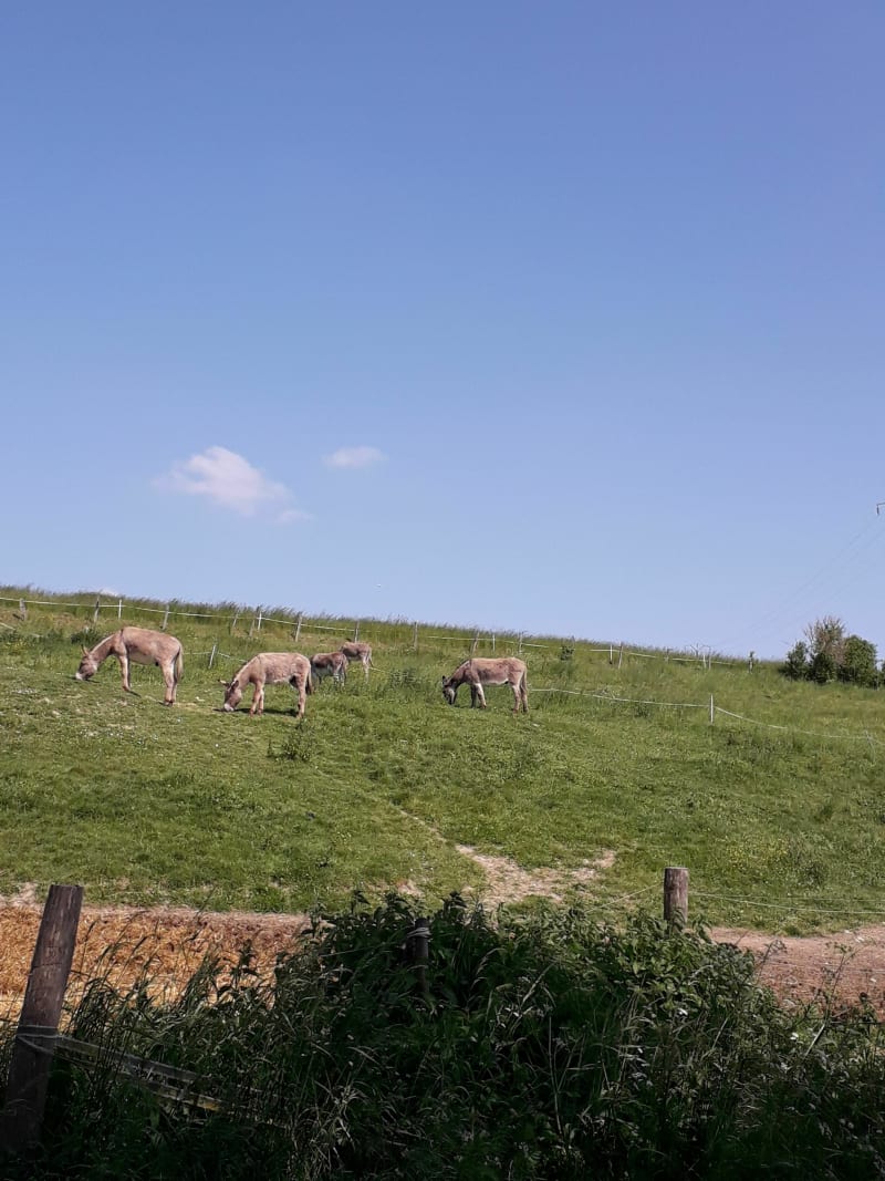 Entre chemins et petites routes de campagne du Vexin - Menucourt