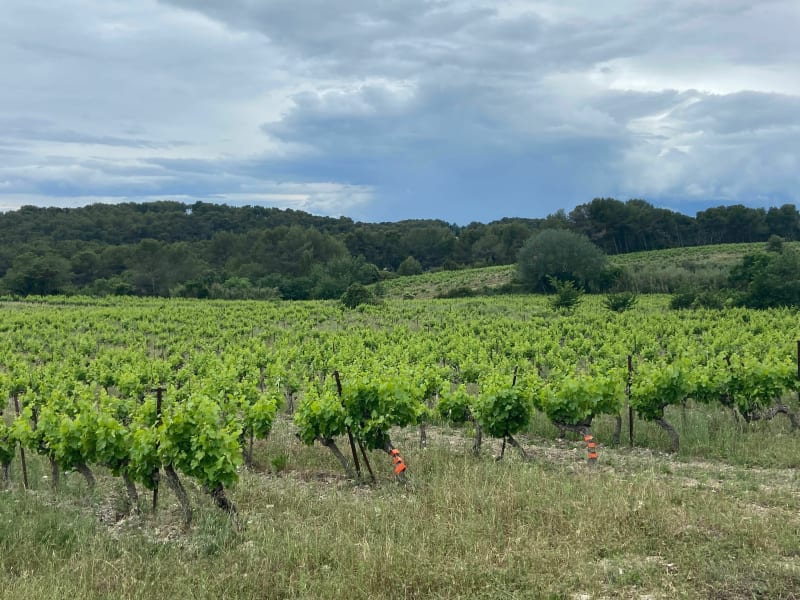La nature de Prades-le-Lez et Saint-Vincent-de-Barbeyrargues - Prades-le-Lez