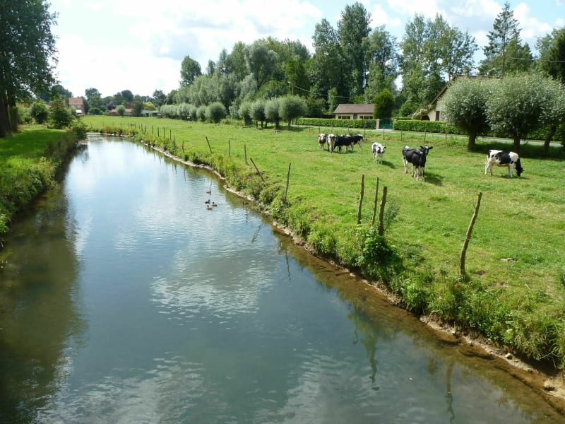 La vallée de l'Aa par Helfaut - Helfaut