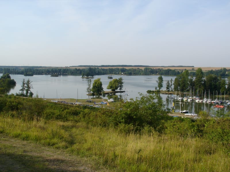 Sentier du marais d'Ecluzelles - Mézières-en-Drouais