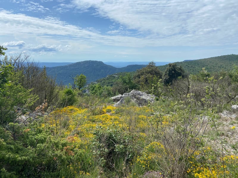 Massif de la Séranne - Pégairolles-de-Buèges
