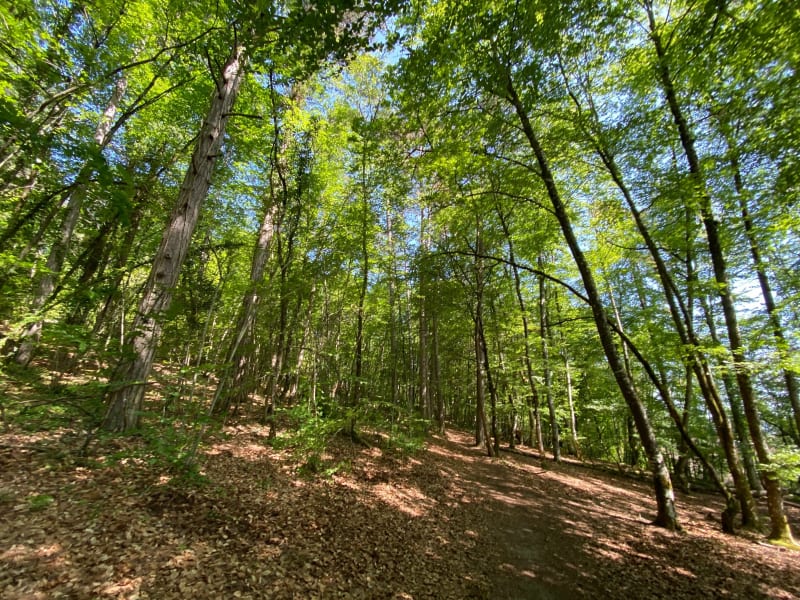 Parcours de santé du Crapa - Trélissac