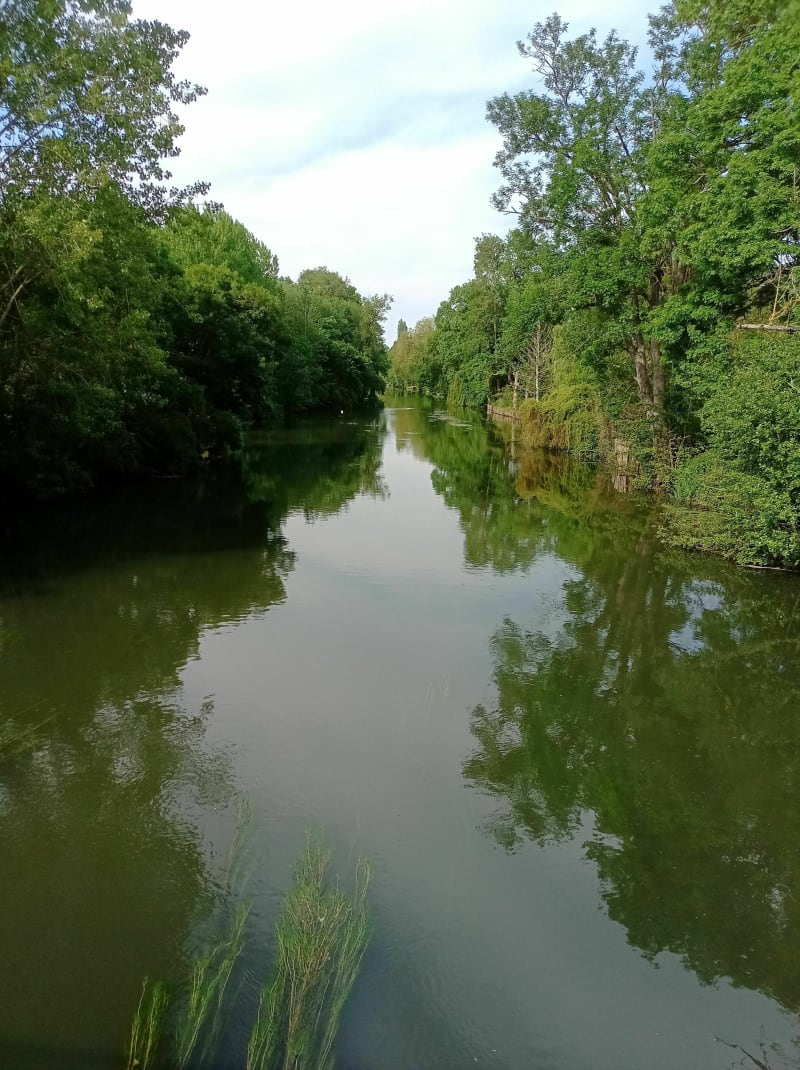 Vendôme - Naveil le château, les coteaux et les bords du Loir - Vendôme
