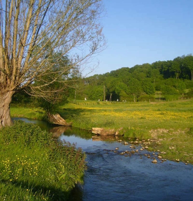 La vallée de la Berthe - Vichères