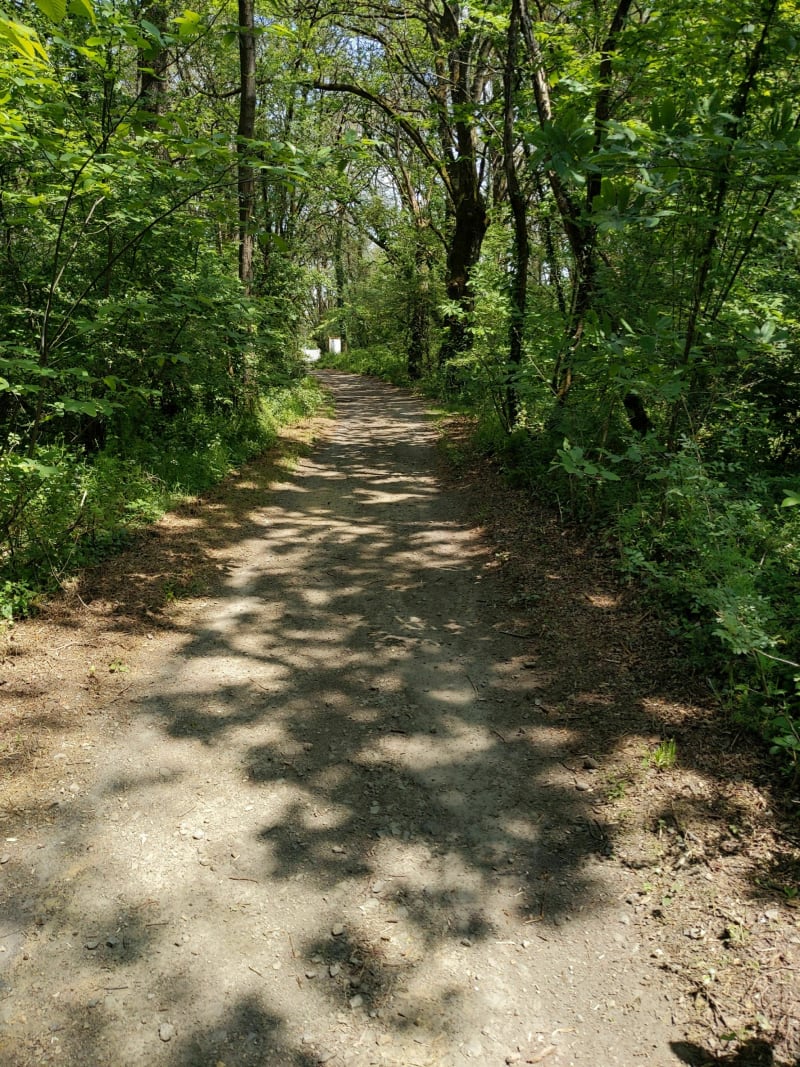 Gripôts, Potereau, Basse Goulaine à VTT - Saint-Sébastien-sur-Loire