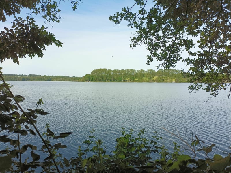 Tour du lac de la Prade par la Barthe - Bazas