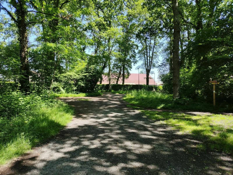 Petit tour des bois de Lons et Lescar - Lons
