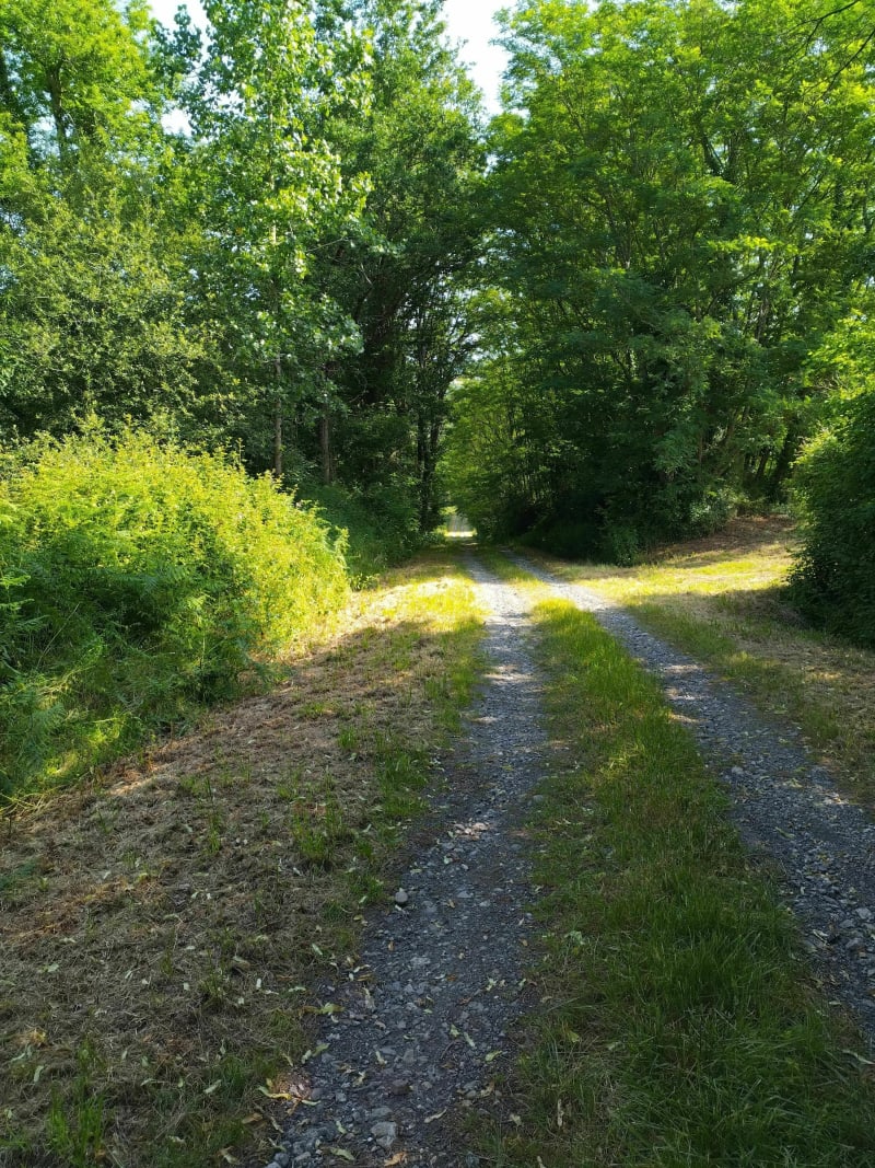 Balade du Bos - Malaussanne